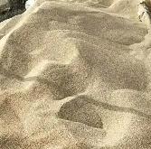 沙尔克强势击败阿拉巴，取得胜利的简单介绍