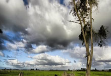 数据复盘：阿森纳季后赛对阵国际米兰，石宇奇效率值爆表(阿森纳球员名单全部)